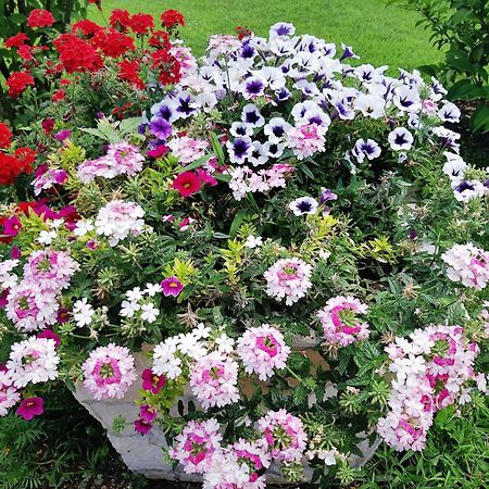 Buna Hacienda Neretva 빌라 외부 사진