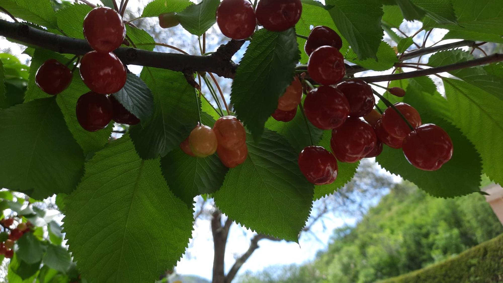 Buna Hacienda Neretva 빌라 외부 사진
